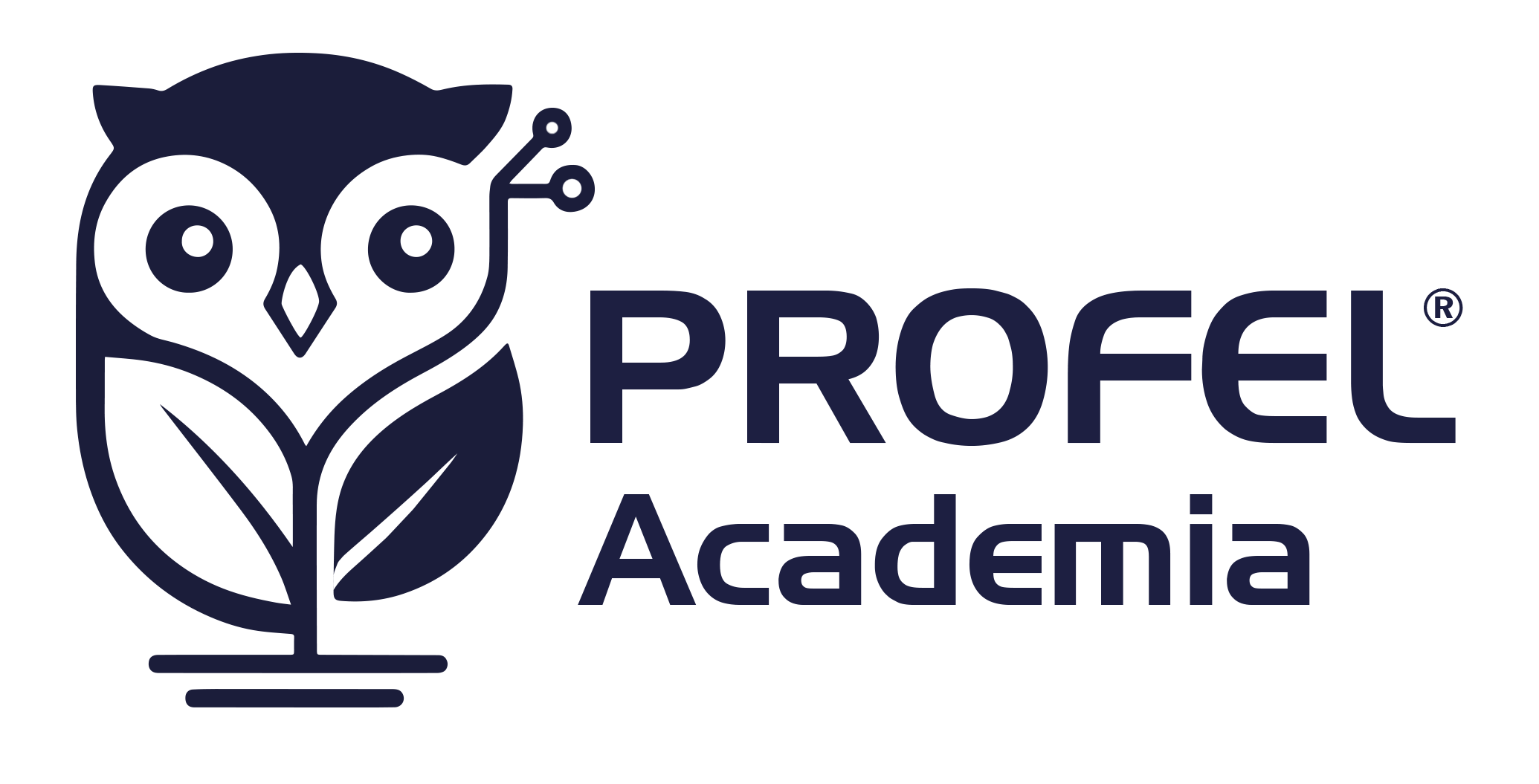 PROFEL Academia